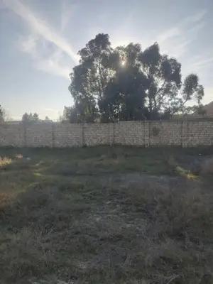 Abşeron, torpaq , satılır , 2 sot , Novxanı