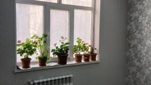 Abşeron, yeni tikili 1 otaqlı, satılır, 52 m²  , Masazır