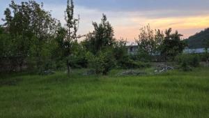 Qəbələ, torpaq , satılır , 6 sot 