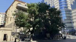 Bakı, ofis 3 otaqlı, satılır, 105 m²  , Yasamal rayonu