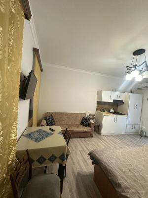 Bakı, yeni tikili 1 otaqlı, kirayə, 20 m²  , Səbail rayonu, İçəri şəhər