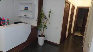 Bakı, obyekt , satılır, 120 m²  , Yasamal rayonu