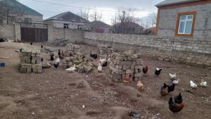 Bakı, torpaq 1 otaqlı, satılır , 3 sot , Sabunçu rayonu, Yeni Ramana