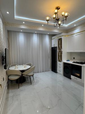 Bakı, yeni tikili 2 otaqlı, kirayə, 93 m²  , Nərimanov rayonu