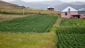 Gədəbəy, torpaq 1 otaqlı, satılır , 18 sot 