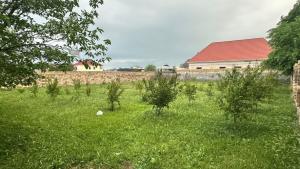 Abşeron, torpaq , satılır , 10 sot , Novxanı