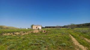Hacıqabul, obyekt , satılır, 1000 m²  