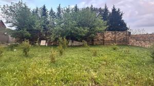 Abşeron, torpaq , satılır , 10 sot , Novxanı
