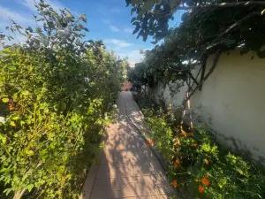 Bakı, bağ/həyət evi 4 otaqlı, kirayə, 120 m² , 5 sot , Binəqədi rayonu, Xocəsən qəs.