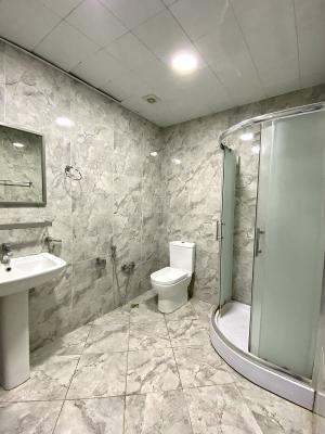 Bakı, yeni tikili 3 otaqlı, kirayə, 110 m²  , Nərimanov rayonu
