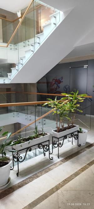 Bakı, ofis 1 otaqlı, kirayə, 38 m²  , Nərimanov rayonu