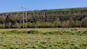 Hacıqabul, obyekt , satılır, 1000 m²  