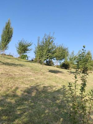İsmayıllı, torpaq , satılır , 18 sot 