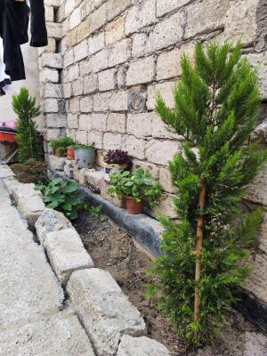 Bakı, həyət evi 3 otaqlı, satılır, 100 m² , 2 sot , Xəzər rayonu, Buzovna
