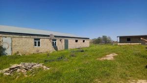 Hacıqabul, obyekt , satılır, 1000 m²  