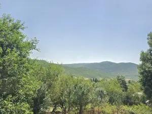 Şamaxı, torpaq , satılır , 42.1 sot 