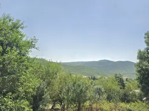 Участок земли, продажа, 42.1 sot, Шамахы