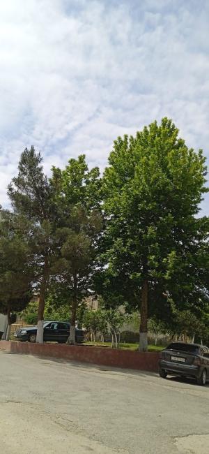 Bakı, yeni tikili 1 otaqlı, satılır, 41 m²  , Binəqədi rayonu, Sulutəpə qəs.