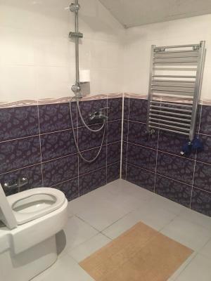 Bakı, bağ/həyət evi 4 otaqlı, kirayə, 160 m² , 2 sot , Səbail rayonu, 20-ci sahə