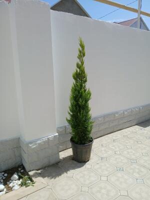 Bakı, həyət evi 4 otaqlı, satılır, 127 m² , 2 sot , Sabunçu rayonu, Maştağa qəs.