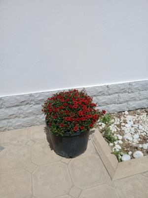 Bakı, həyət evi 4 otaqlı, satılır, 127 m² , 2 sot , Sabunçu rayonu, Maştağa qəs.