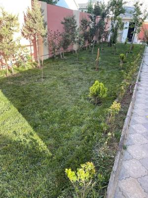 6 комната садовый домик, продажа, 270 m², 4 sot, Бакы, Хәзәр рајону, Шаған