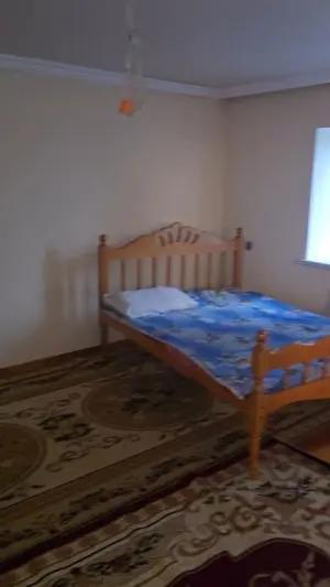 Tovuz, bağ/həyət evi 5 otaqlı, kirayə, 100 m² , 3 sot 