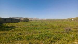 Hacıqabul, obyekt , satılır, 1000 m²  