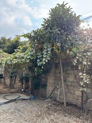 Abşeron, bağ/həyət evi 1 otaqlı, kirayə, 100 m² , 3 sot , Mehdiabad