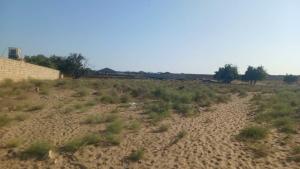 Bakı, torpaq 1 otaqlı, satılır , 88 sot , Sabunçu rayonu, Bilgəh qəs.