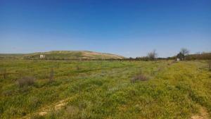 Hacıqabul, obyekt , satılır, 1000 m²  