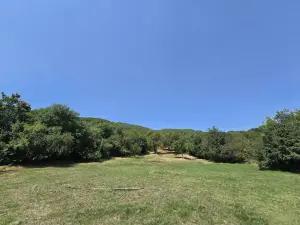 Şamaxı, torpaq , satılır , 42.1 sot 