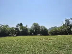 Şamaxı, torpaq , satılır , 42.1 sot 