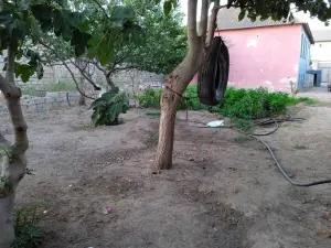 Bakı, torpaq , satılır , 7.5 sot , Xəzər rayonu, Mərdəkan