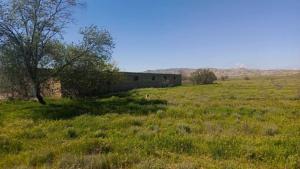 Hacıqabul, obyekt , satılır, 1000 m²  