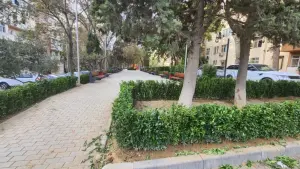 3 otaqlı köhnə tikili, satılır, 75 m², Bakı, Binəqədi rayonu, 7-ci mikrorayon