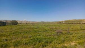Hacıqabul, obyekt , satılır, 1000 m²  