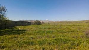 Hacıqabul, obyekt , satılır, 1000 m²  
