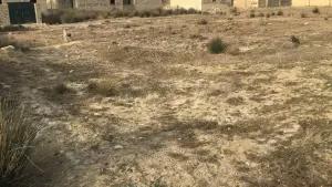 Abşeron, torpaq , satılır , 10 sot , Saray