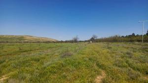 Hacıqabul, obyekt , satılır, 1000 m²  
