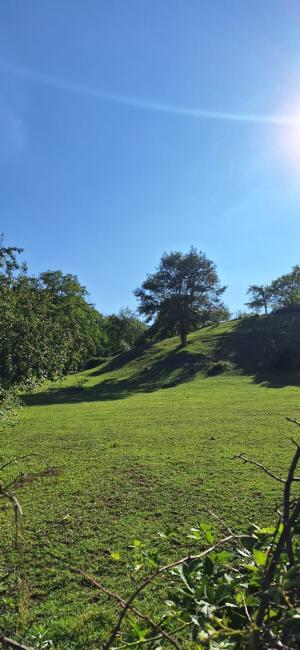 İsmayıllı, torpaq , satılır  