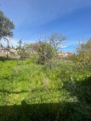 Abşeron, torpaq , satılır , 10 sot , Novxanı