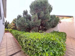 Bakı, həyət evi 5 otaqlı, satılır, 170 m² , 6 sot , Xəzər rayonu, Şüvəlan