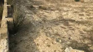 Abşeron, torpaq , satılır , 10 sot , Saray