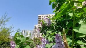 Abşeron, yeni tikili 3 otaqlı, satılır, 126 m²  , Aşağı Güzdək
