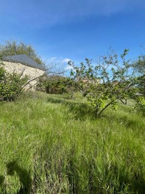 Abşeron, torpaq , satılır , 10 sot , Novxanı