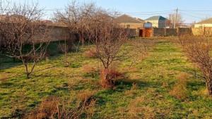 Abşeron, torpaq , satılır , 12 sot , Saray