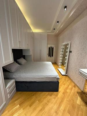 Bakı, yeni tikili 2 otaqlı, kirayə, 100 m²  , Nəsimi rayonu