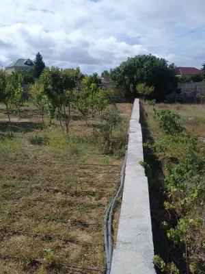 Bakı, torpaq , satılır , 12.7 sot , Sabunçu rayonu, Albalı qəs.