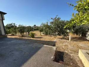 Abşeron, bağ/həyət evi 4 otaqlı, kirayə, 180 m² , 24 sot , Görədil